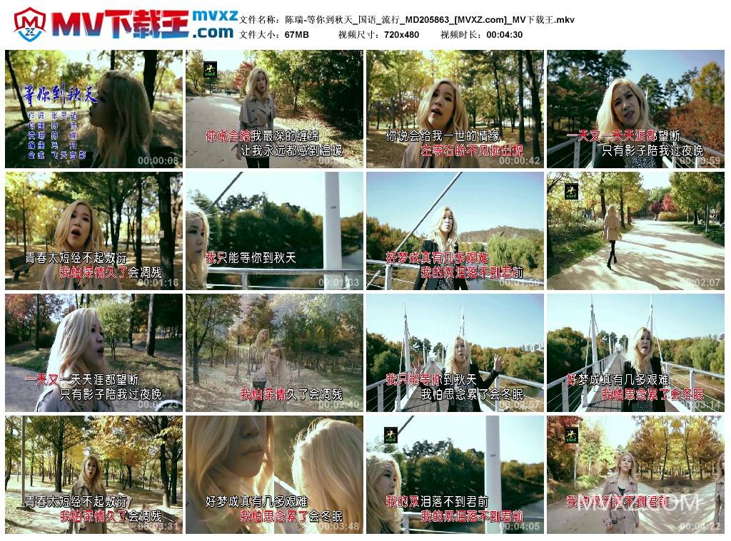 陈瑞-等你到秋天_国语_流行_MD205863